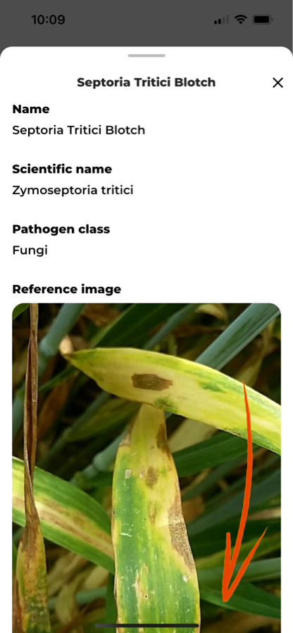 Pests-and-diseses-recognition-on-mobile_6.jpg