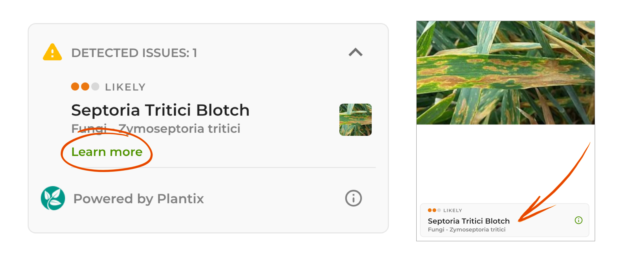 Plantix-SKYFLD-Mobile.jpg